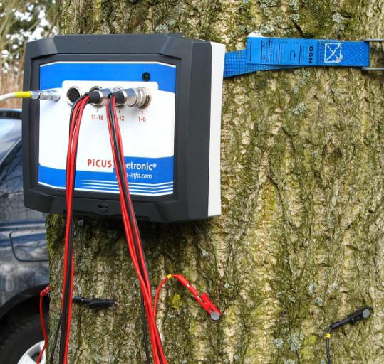 Argus PiCUS TreeTronic樹木電阻抗斷層成像儀